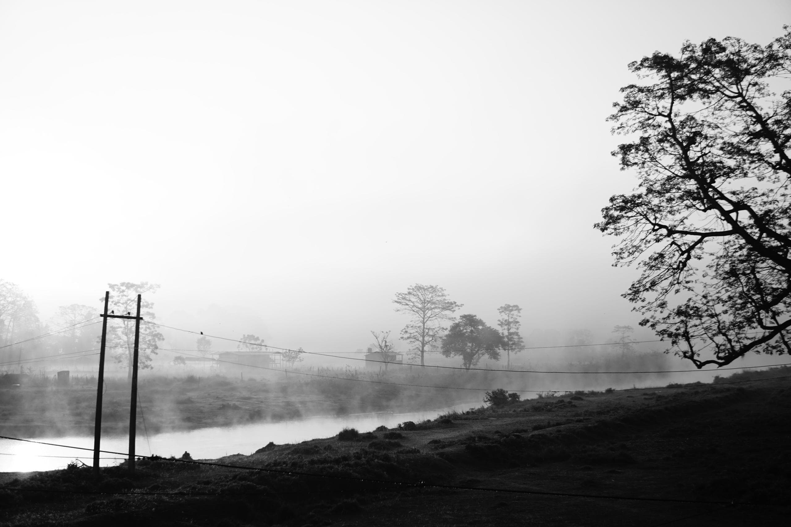 Chitwan National Park